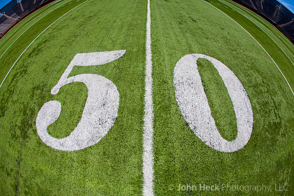 Wedding at U of M Stadium